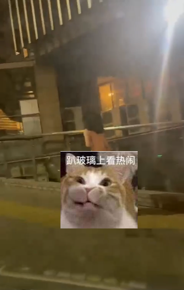 🍉主朲的任务??-资源总站